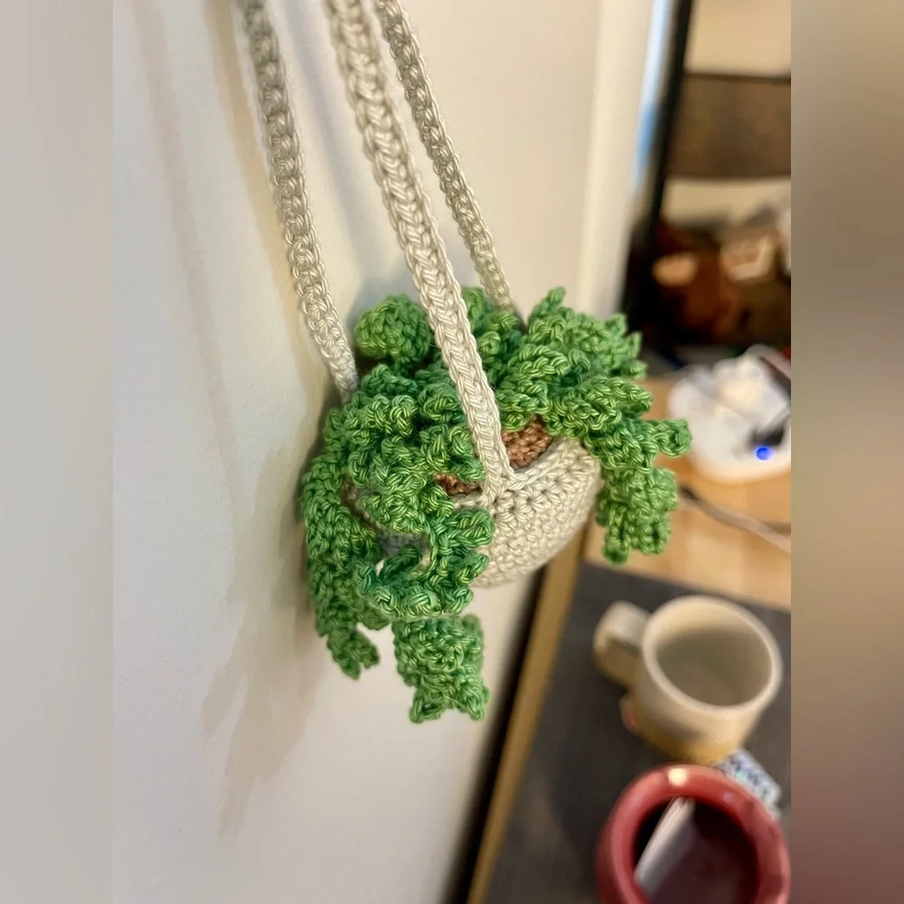 Handcrafted Crochet Hanging Plant Fern Decor Home Car Desk Accessory - Picture 5 of 8